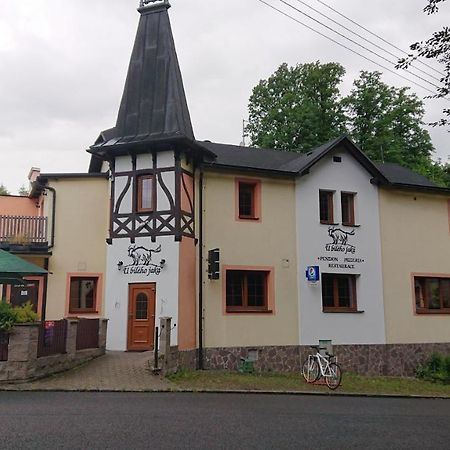 Penzion U Bileho Jaka Vilemov  Exterior photo